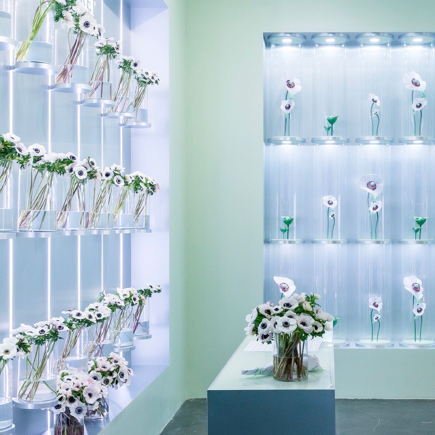 Prada Beauty - Prada Paradoxe Virtual Flower Lab - New York